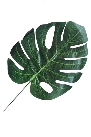 Yaprak Yeşil Devetabanı Modeli 19 cm 1 Adet